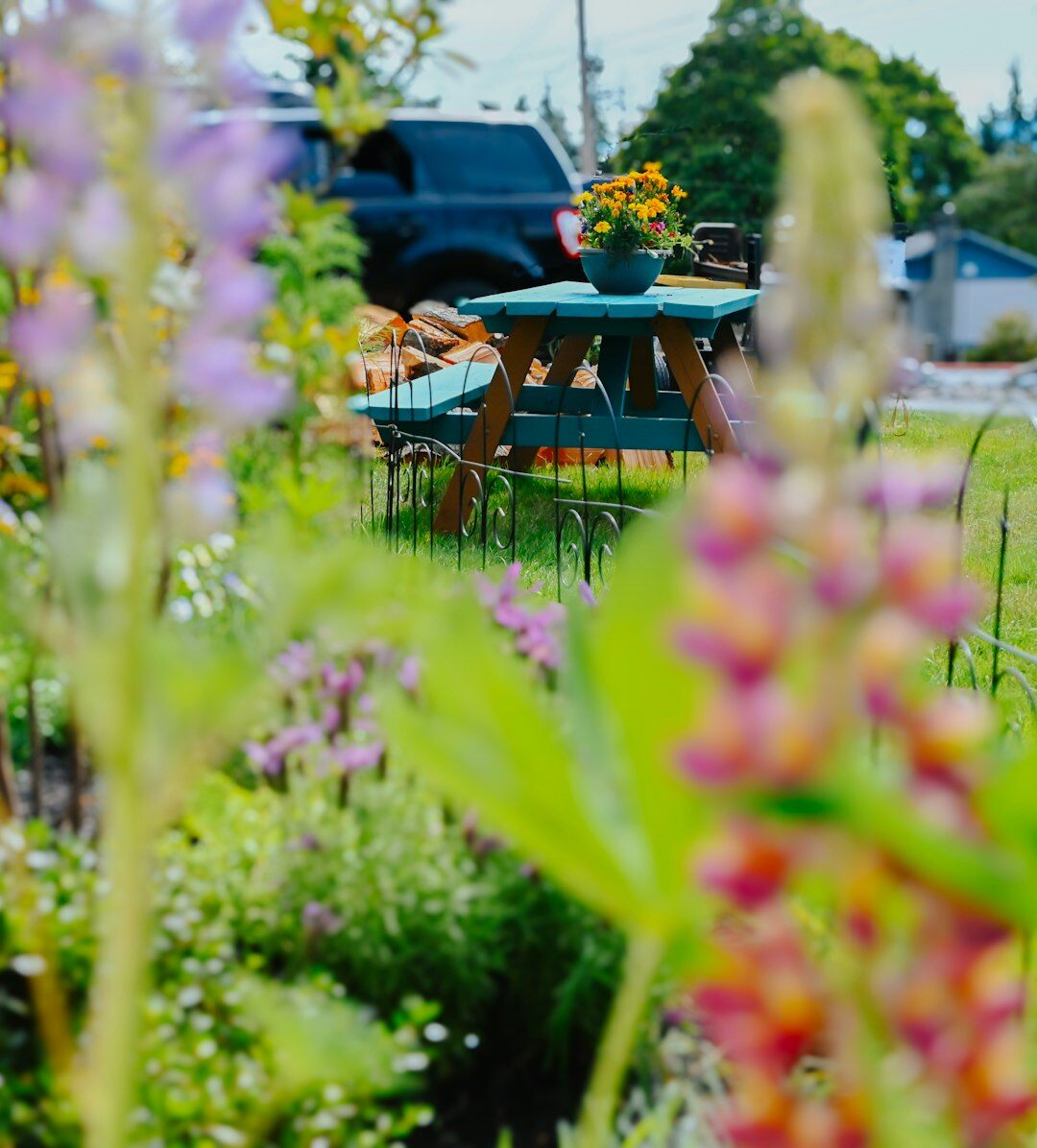 Group of friends gathered in a garden at a table